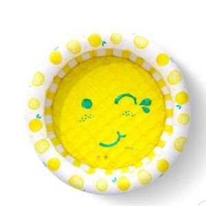 Minnidip lemon pool NIB